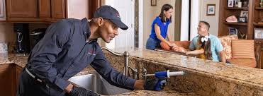 Best Pest Control for Hotels  in Carencro, LA